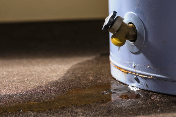 Water damage restoration insurance claims in AL