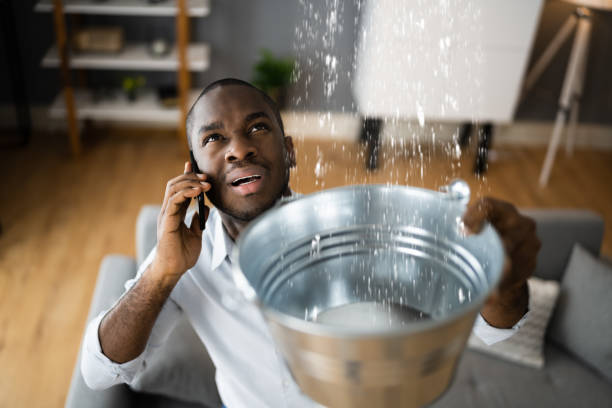 Best Ceiling water damage repair  in Clayton, AL