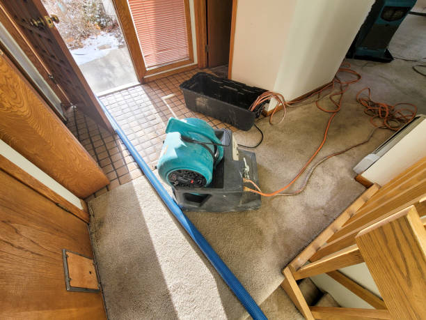  Clayton, AL Water damage restoration Pros