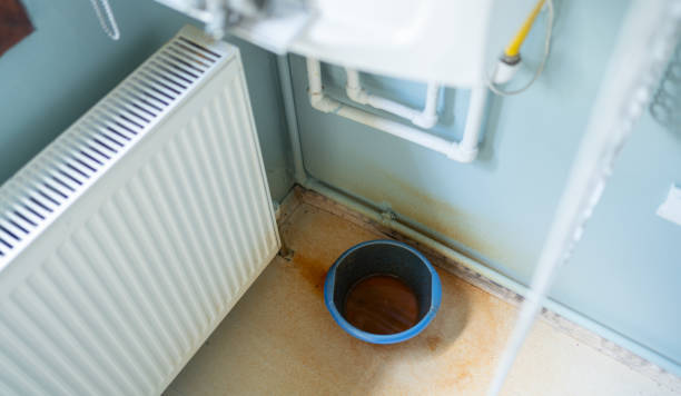 Best Flood damage cleanup  in Clayton, AL
