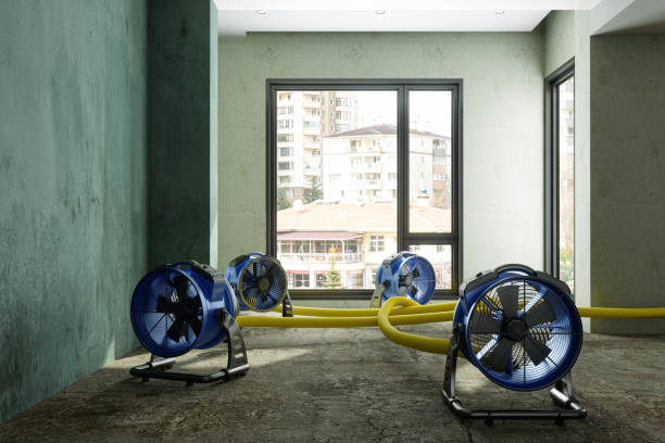 Best Water damage cleanup near me  in Clayton, AL